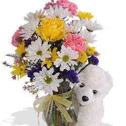 Knoll Walter Florist (Ballwin) Logo