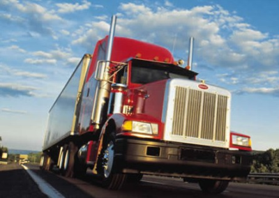 Lions Movers LLC Logo