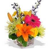 Walter Knoll Florist Logo