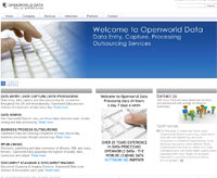 Openworld Data Entry Logo