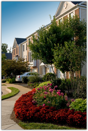 Beach Landscaping Logo