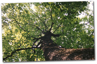 A-O K Contractors Logo