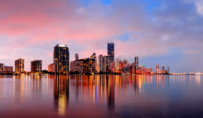 Davie Painting Colorful Design Logo