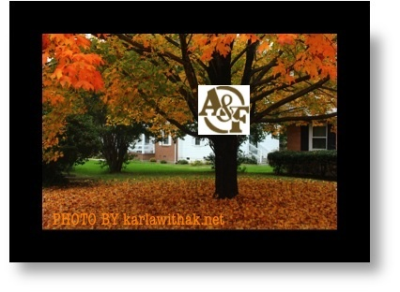 The Awards &amp; Frame Company Logo