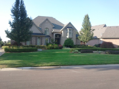 Natural Creations Landscape Inc. Logo