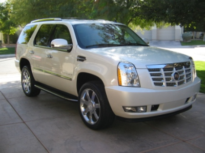 Perfectionist Mobile Auto Detailing LLC Logo