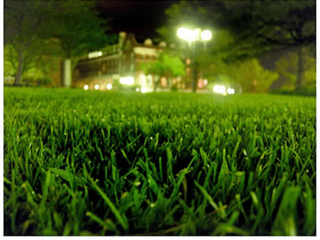 Wheeler Lawncare Logo