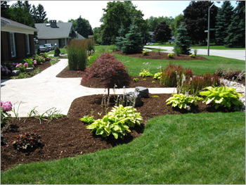 B &amp; Sons Lawncare &amp; Home Maintenance Logo