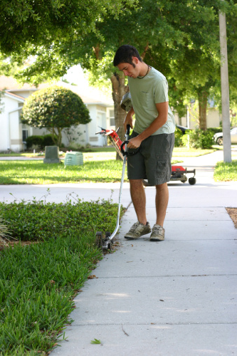 Rain or Shine Lawn Care Logo