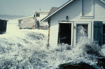 King Water Damage Logo