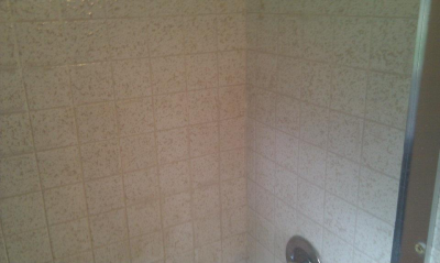 Got Spots Carpet and Tile Image