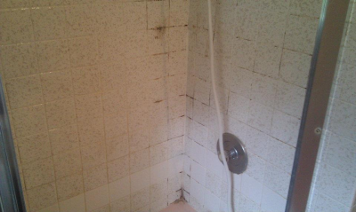 Got Spots Carpet and Tile Logo