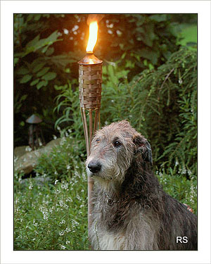 Rainer Sticht Photography Logo