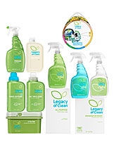 Geraldine Cleaning Services Image