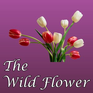 The Wild Flower Logo