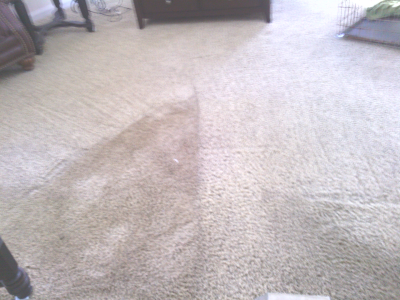 Bill's Cleaning & Flood Restoration Service Image