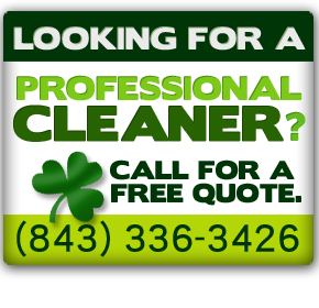 Shannon's Cleaning Services Logo