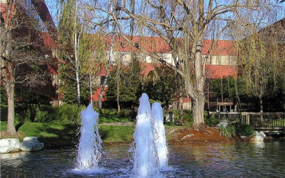 Divorce Attorney - Law Office of Stephen Schofield Logo