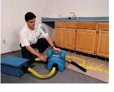 The Flood Fighters Logo