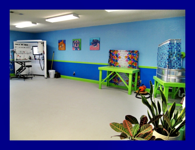 Cool Dog Grooming Studio, LLC Logo