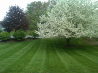 Four Seasons Property Maintenance Image