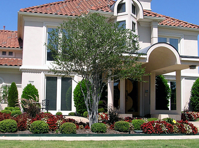 Accent Treescapes Logo