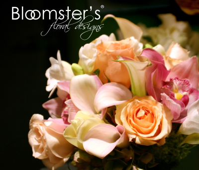 Bloomster's Logo
