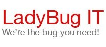 LadyBug IT Logo