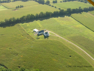 Villa Milagro Vineyards Image