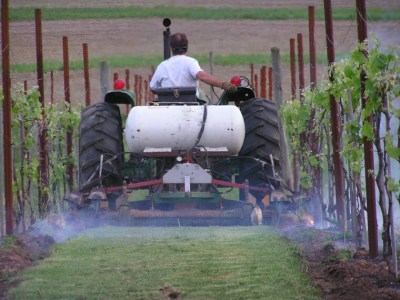 Villa Milagro Vineyards Image