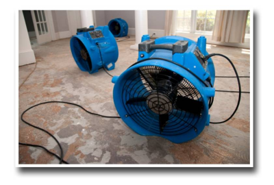 Cypress Water Damage Services Logo