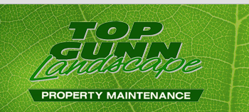 Top Gunn Landscape Image