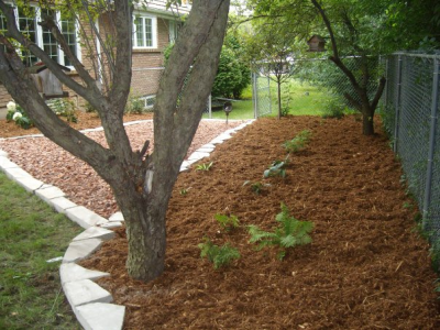 Top Gunn Landscape Image