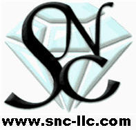 Sarceno Network Consulting Logo