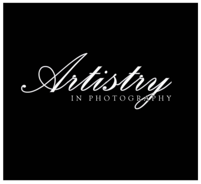 Artistry In Photography Logo