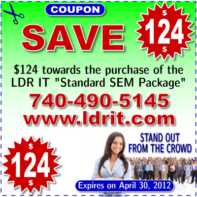 LDR Interactive Web Services Logo