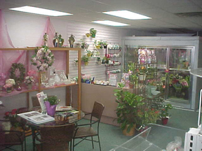 Creations By Lynn Image