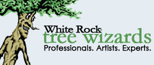 White Rock Tree Wizards Logo