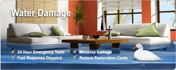 Carpet Cleaning Brooklyn Company Logo