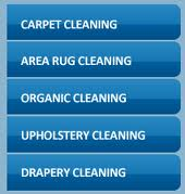 Staten Island Carpet Cleaner Logo