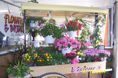 Visions Flowers & Bridal Designs Image