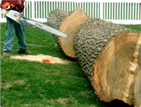 J & J Tree Services Image