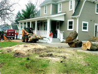 J & J Tree Services Image