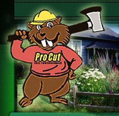 Pro Cut Tree Professionals Logo