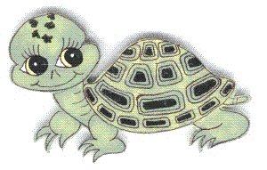 The Turtle Factory &amp; More Logo