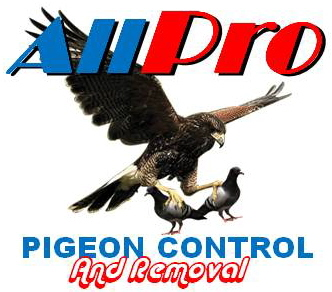 All Pro Bird Control | Pigeon Removal &amp; Prevention Logo