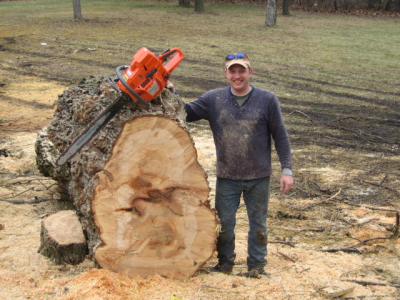 Branch Managers Tree Care Logo