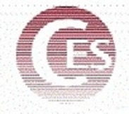 Cardoso Electrical Services Inc Logo
