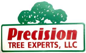 Ken's Precision Tree Service Logo