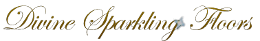 Divine Sparkling Floor Logo